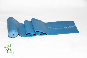 FranklinTridex Band blau