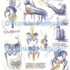 Plakat-Set A4 – Bild 2